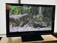 42-inch Panasonic Viera plasma TV displaying a dinosaur nature scene on the screen.