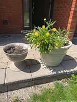 Wide view of two garden urns placed outdoors on a patio; one contains earth and yellow flowering plants, the other has soil only.