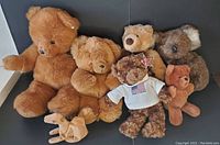 Group photo showing seven plush toys: four Gund bears, one Dakin bear, one unmarked tan bear, and one tan camel plush