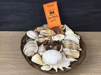 Full basket of assorted sea shells showing a variety of types and colors, with the lot tag visible.