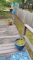 Four planters positioned outside on deck and stairs, plants included in all pots.