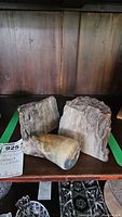 Two petrified wood bookends displayed on a wooden surface with a dark wood background, showing their natural texture and size.