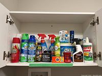 Overview of shelf with multiple household cleaning chemicals and products in various packaging including spray bottles, aerosol cans, and detergent containers.
