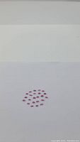 Top view of thirty marquis cut untreated rubies arranged on white background.