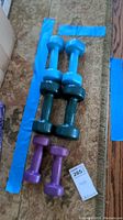 All three sets of coated hand weights laid out on carpet: two light blue 5 lb dumbbells, two green 10 lb dumbbells, and two purple 3 lb dumbbells.
