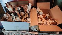 Two large boxes filled with various dog figurines, wrapped in packing paper inside the boxes.