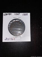 Back side of the Canadian 1888 large one cent coin in white cardboard holder, displaying denomination 'ONE CENT' and the year 1888.