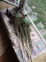 Bundle of 24 peacock feathers displayed on a patterned blanket near a window with natural light.