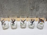 Photo showing six clear glasses with colorful duck and wildlife illustrations lined up in a row against a wooden blocked concrete background.