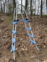 Full view of the pool ladder outdoors on brown leaf-covered ground, showing white metal frame and blue plastic steps and handrails.