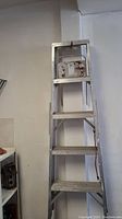 Full view of the 5-foot aluminum step ladder with integrated tray and red protective feet caps.