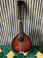 Front view of the 14-string vintage musical instrument showing pear-shaped wood body and sound hole with decorative rosette.