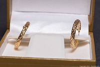 Pair of hoop earrings displayed in presentation box