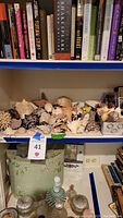 Wide view of assorted seashells, seahorses, coral pieces displayed on shelf beneath books