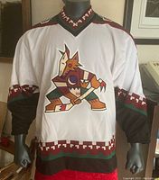 Front view of the white Phoenix Coyotes hockey jersey with Kachina logo, showing detailed design and sleeve patterns.