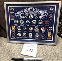 Framed collection showing all 25 pins on navy blue background inside silver frame measuring approx. 8x10 inches.