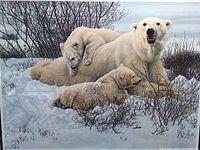 Close-up of the polar bears print showing detailed artwork including snow and bushes.
