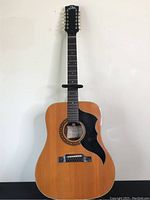 Full front view of the 12-string Eko guitar with natural finish and black pickguard, no strings attached.