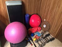 Overview of step platform, two exercise balls, yoga mat, hand pump, various dumbbells and massage disc