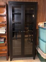 Front view of tall Hemnes cabinet with closed glass paneled doors, placed against wood panel wall, showing full height and knob details