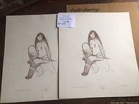 Two unframed prints side by side with protective folios labeled 'Arctic drawings'