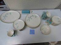 Full set laid out showing all pieces including large serving platters, plates, bowls, cups, saucers, butter dish, salt and pepper shakers