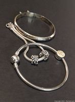 Photo showing a sterling silver bangle, a sterling silver Pandora snake chain bracelet with three charms including a Tree of Life charm.