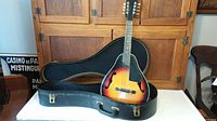 Front view of mandolin in open black hard shell case against wooden background