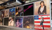 12 assorted vinyl record albums laid out, showcasing cover art and titles.