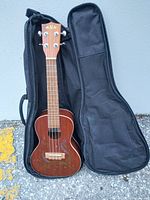 Full view of the ukulele in black carrying case on ground.