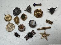 Photo of various antique lapel pins in metal and enamel including 4-H Club, Niagara, Executive Association, and unique animal-themed pins.