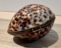Close-up of the shell trinket box showing glossy brown spotted pattern and metal latch on the side.