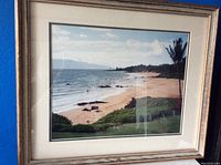 Full view of framed coastal beach landscape picture showing the beach, ocean, palm tree, and natural greenery. The frame is wood with a distressed finish.
