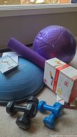 Photo showing purple and blue fitness balls, purple yoga mat, Bosu trainer, dumbbells, and boxed figure 8 expander.