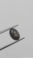 Natural black star sapphire oval cabochon held by tweezers showing star asterism and flash effect.