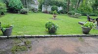 Wide shot showing three outdoor planters placed on a raised stone border with grass lawn in background. Planters contain plants but specific condition not guaranteed.