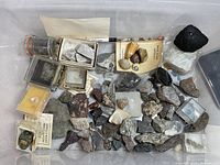 Overview photo showing the entire collection of stones, crystals, shells, and boxed specimens arranged together with a quarter for scale.