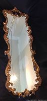 Full-length mirror with intricate gold frame shown standing upright against dark background. Shows the ornate scrolling frame and reflective glass surface with visible streaks.