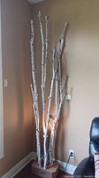 Full view of six tall birch branches mounted in a wooden block standing upright in a room corner near window and couch.