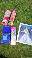 Five boxed Barbie dolls arranged on grass, showing variety of doll styles and packaging.