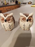 Pair of ceramic owl-shaped salt and pepper shakers on countertop, featuring detailed textured feathers, brown eyes, black beaks, white front with black spots, and rubber stoppers on bottom.