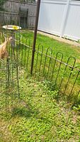 Two metal tomato fencing panels installed in garden grass with rust present and a white vinyl fence in the background.