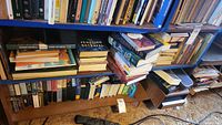 Bookshelf packed with books and VHS tapes, showing overall lot context with some VHS cases visible on upper and middle shelves.