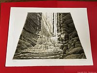 Full view of the print on red background showing overall condition and deckle edges.