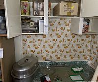 Photo showing the 20 inch metal roasting pan with lid on green countertop near a cabinet containing various kitchen items including a slicer, oil and vinegar caddy, and kitchen tools.