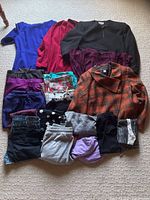 Overview of multiple women's clothing items including tops, blazers, skirts, and pants laid out on carpet.