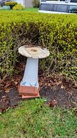 Full view of concrete birdbath base with rusted metal top surrounded by bushes and grass.