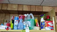 Shelf with assorted cleaning liquids and supplies including Lysol spray, dishwashing liquids, and cleaning pads.