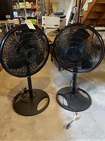 Two black Lasko pedestal floor fans standing side by side on a concrete floor in a basement. Visible stairway and basement storage in background.