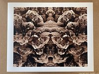 Photo of the first photograph in the lot showing symmetrical moss and rock fractal pattern in sepia tone with white border